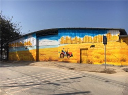 增城浦心村【室內墻繪】