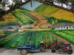 麻涌芙蓉沙文化墻